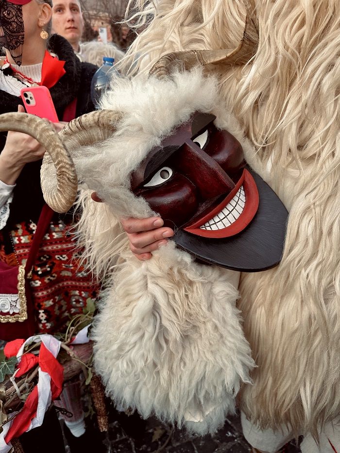 Carnaval de Mohács